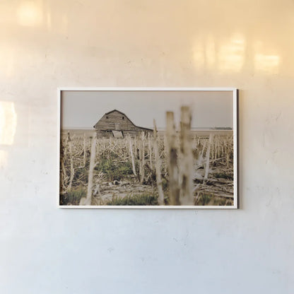 Leaning Barn Field II by Nathan Larson. shown as a paper print in a white frame. Available as a archival giclee rolled canvas, fine art paper, or poster print. SKU 86061i.