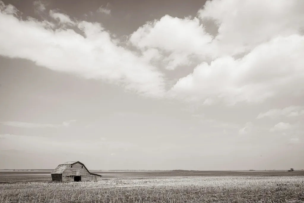 Leaning Barn Field III by Nathan Larson. SKU 86073i. Archival Giclee Fine art print for wall decor.