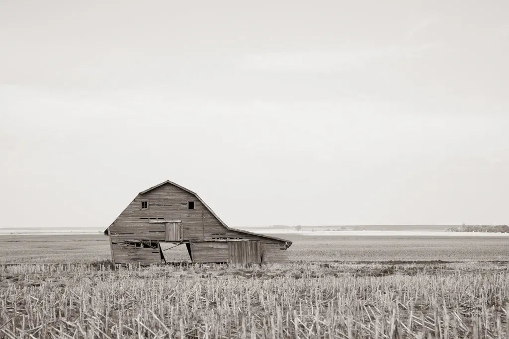 Leaning Barn Neutral by Nathan Larson. SKU 86063i. Archival Giclee Fine art print for wall decor.