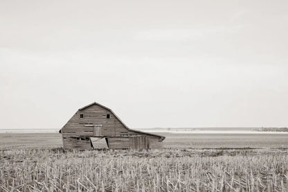 Leaning Barn Neutral by Nathan Larson. SKU 86063i. Archival Giclee Fine art print for wall decor.