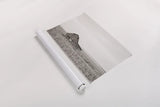 Leaning Barn Neutral by Nathan Larson. shown as a rolled paper print. Available as archival giclee rolled canvas, fine art paper, or poster print. SKU 86063i.