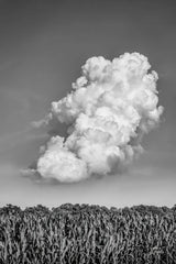Lighten Up by Nathan Larson. SKU 88861h. Archival Giclee Fine art print for wall decor.