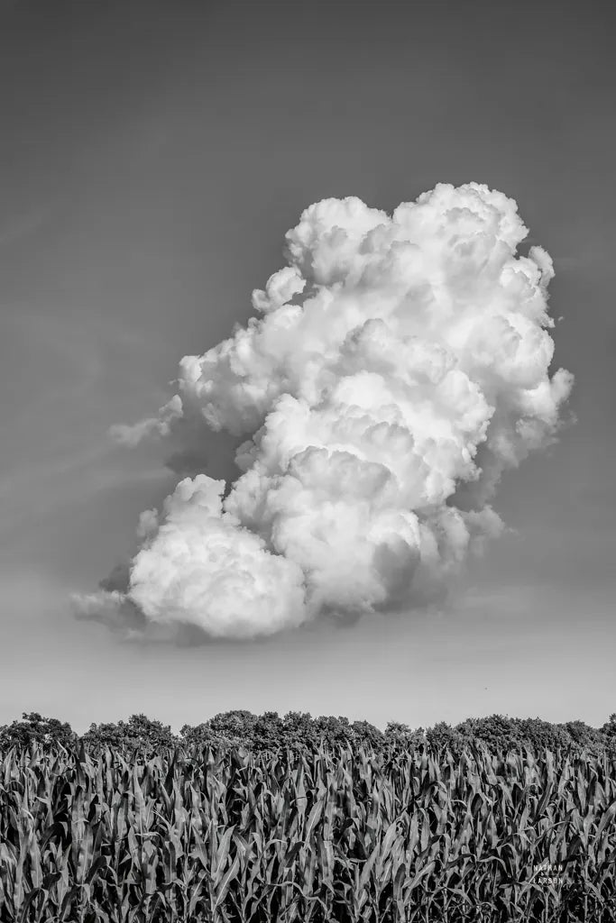 Lighten Up by Nathan Larson. SKU 88861h. Archival Giclee Fine art print for wall decor.