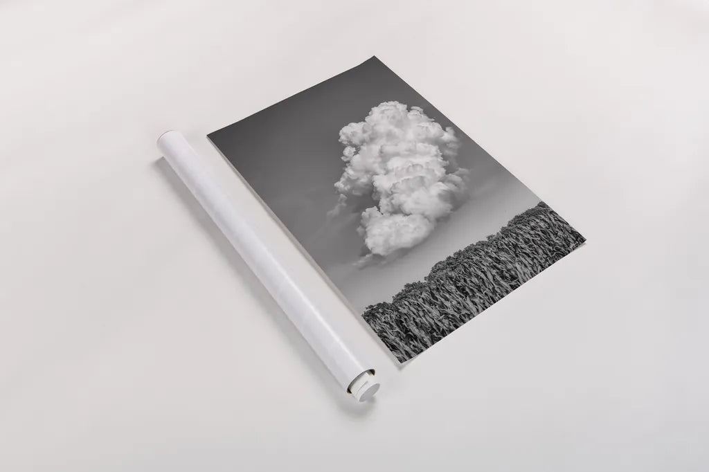 Lighten Up by Nathan Larson. shown as a rolled paper print. Available as archival giclee rolled canvas, fine art paper, or poster print. SKU 88861h.