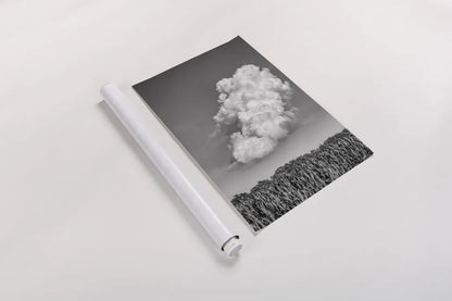 Lighten Up by Nathan Larson. shown as a rolled paper print. Available as archival giclee rolled canvas, fine art paper, or poster print. SKU 88861h.