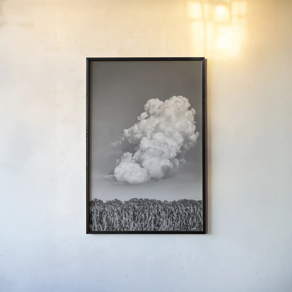 Lighten Up by Nathan Larson. shown as a paper print in a black flame. Available as a archival giclee rolled canvas, fine art paper, or poster print. SKU 88861h.