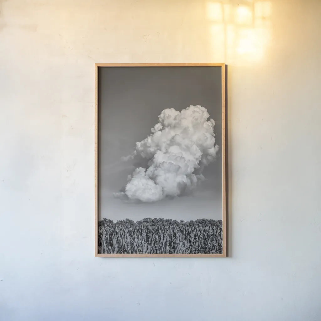 Lighten Up by Nathan Larson. shown as a paper print in a natural frame. Available as a archival giclee rolled canvas, fine art paper, or poster print. SKU 88861h.
