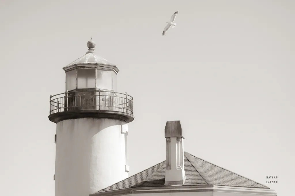 Lighthouse Fly Over by Nathan Larson. SKU 87193i. Archival Giclee Fine art print for wall decor.