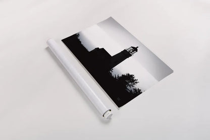 Lighthouse Forest by Nathan Larson. shown as a rolled paper print. Available as archival giclee rolled canvas, fine art paper, or poster print. SKU 90174i.