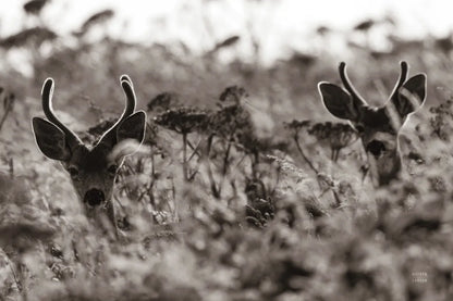 Lighthouse Keepers by Nathan Larson. SKU 89460i. Archival Giclee Fine art print for wall decor.