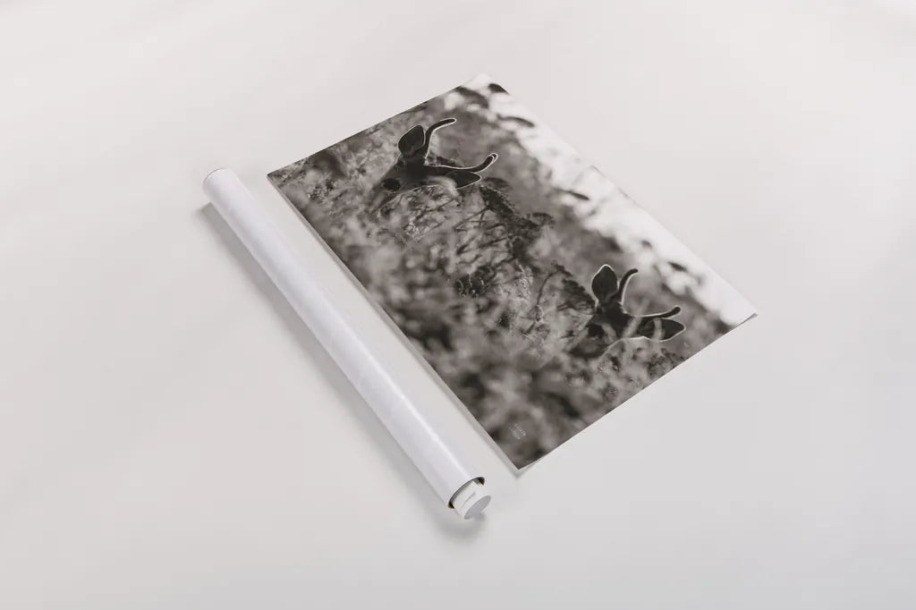 Lighthouse Keepers by Nathan Larson. shown as a rolled paper print. Available as archival giclee rolled canvas, fine art paper, or poster print. SKU 89460i.