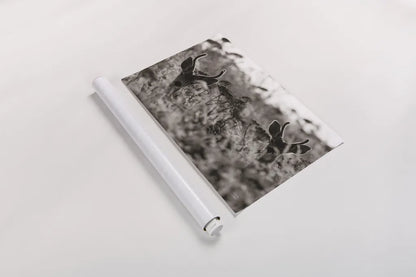 Lighthouse Keepers by Nathan Larson. shown as a rolled paper print. Available as archival giclee rolled canvas, fine art paper, or poster print. SKU 89460i.