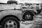 Line Up BW by Nathan Larson. SKU 87723i. Archival Giclee Fine art print for wall decor.
