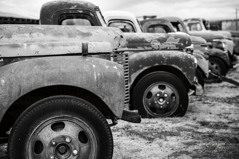Line Up BW by Nathan Larson. SKU 87723i. Archival Giclee Fine art print for wall decor.