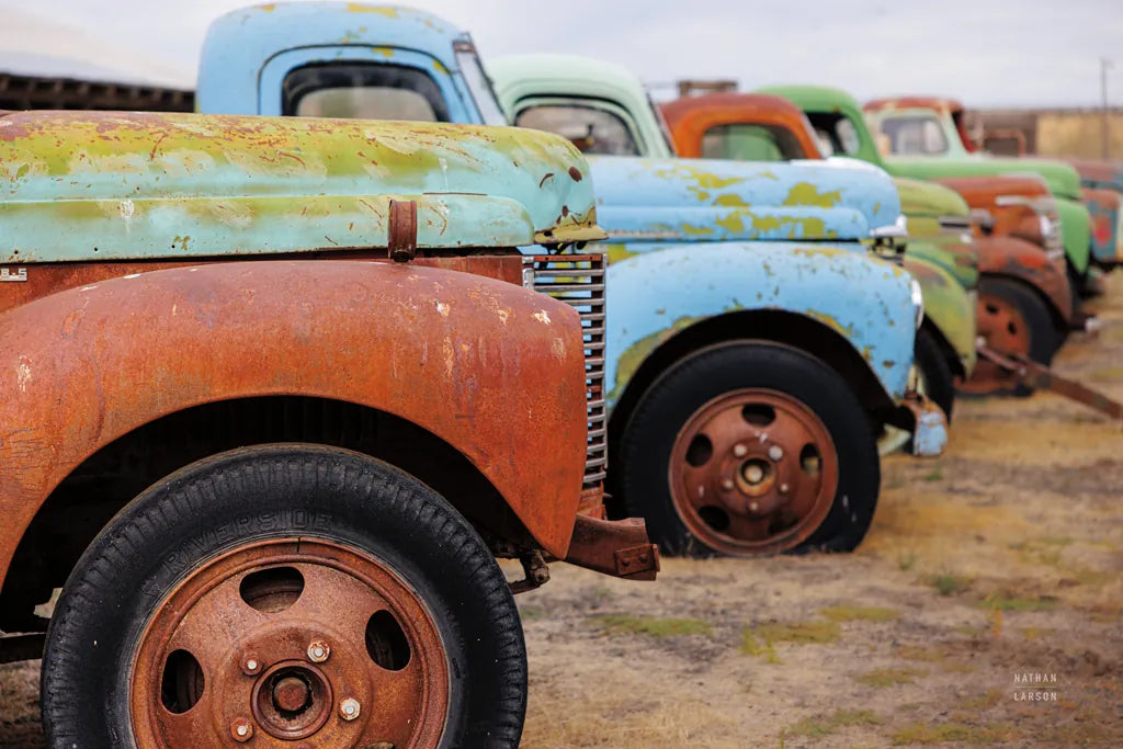 Line Up Bright by Nathan Larson. SKU 87722i. Archival Giclee Fine art print for wall decor.