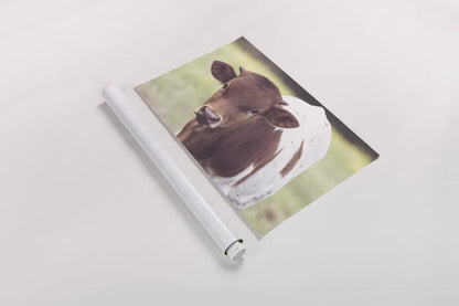 Little Longhorn by Nathan Larson. shown as a rolled paper print. Available as archival giclee rolled canvas, fine art paper, or poster print. SKU 92466i.