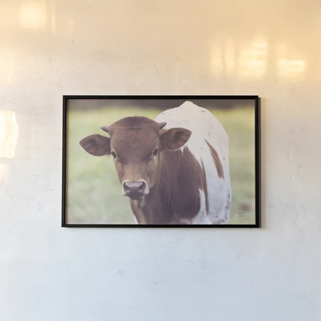 Little Longhorn by Nathan Larson. shown as a paper print in a black flame. Available as a archival giclee rolled canvas, fine art paper, or poster print. SKU 92466i.