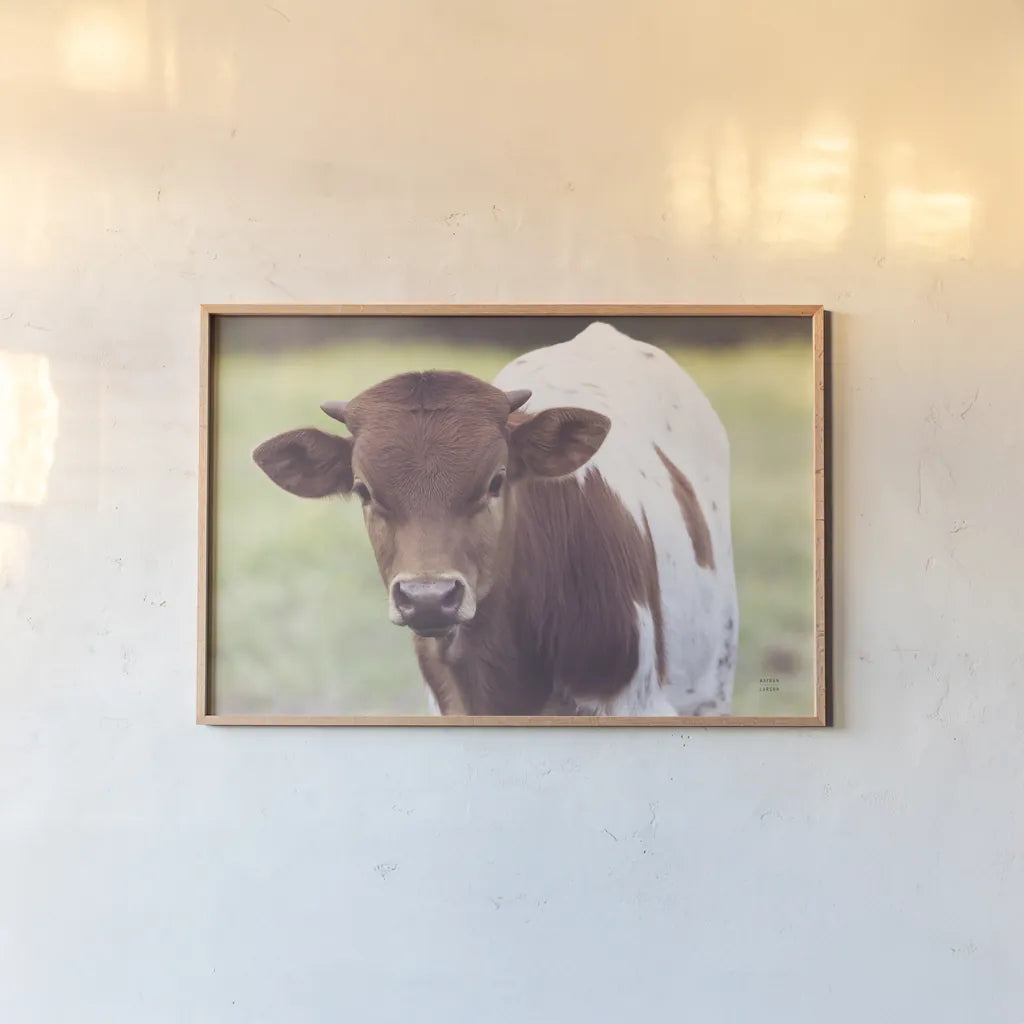 Little Longhorn by Nathan Larson. shown as a paper print in a natural frame. Available as a archival giclee rolled canvas, fine art paper, or poster print. SKU 92466i.