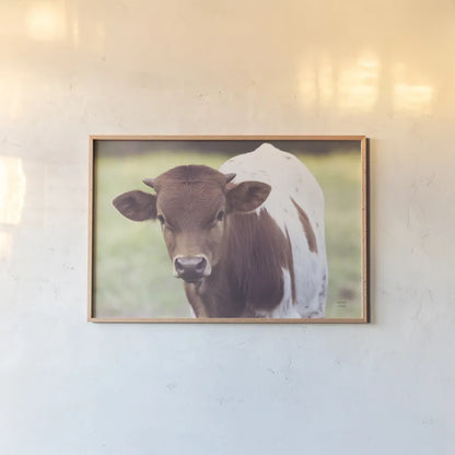 Little Longhorn by Nathan Larson. shown as a paper print in a natural frame. Available as a archival giclee rolled canvas, fine art paper, or poster print. SKU 92466i.