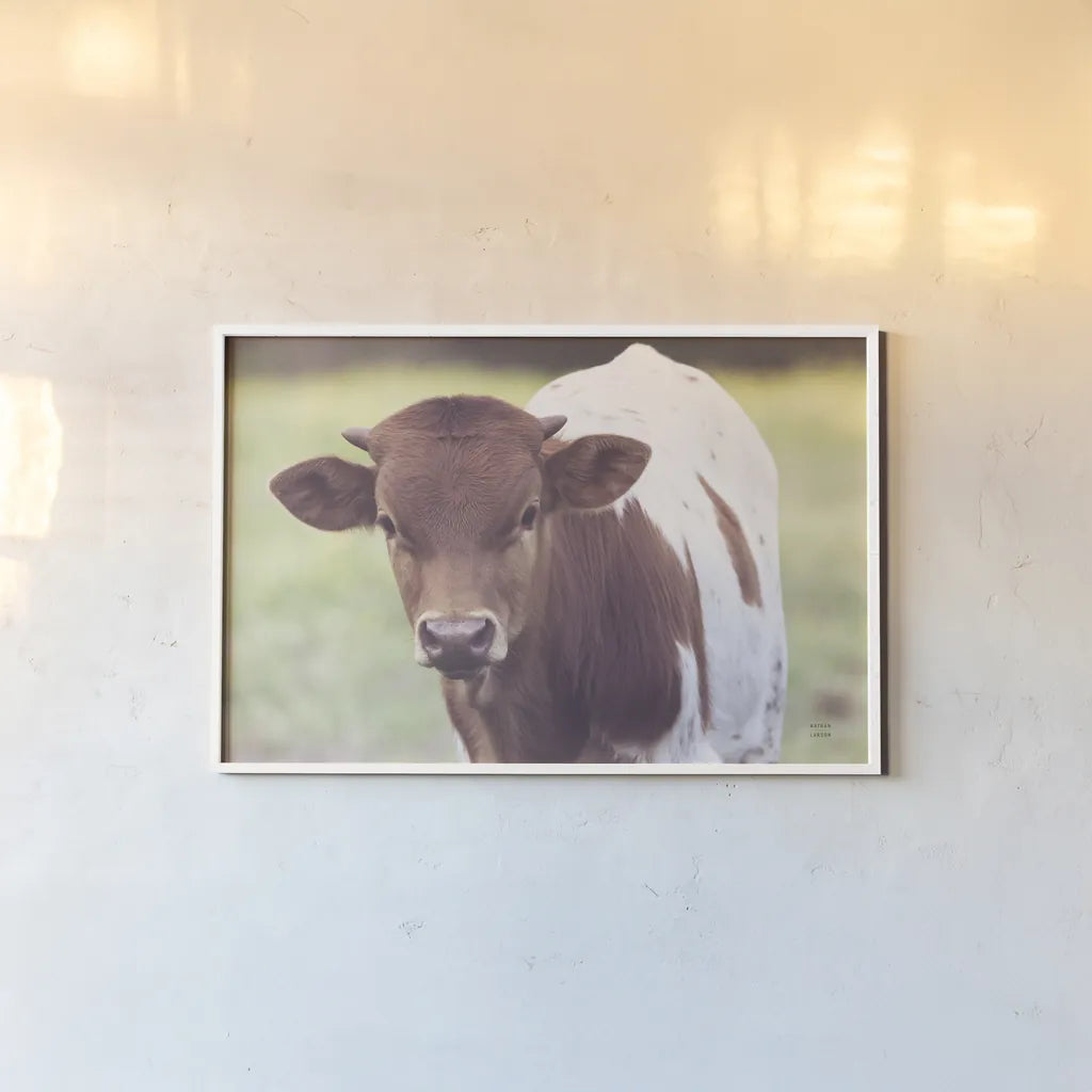 Little Longhorn by Nathan Larson. shown as a paper print in a white frame. Available as a archival giclee rolled canvas, fine art paper, or poster print. SKU 92466i.