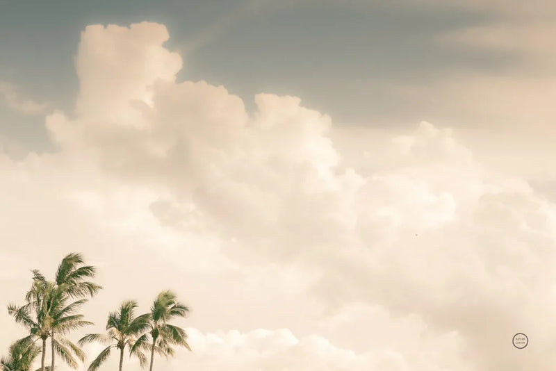 Lone Bird Ocean View by Nathan Larson. SKU 71377i. Archival Giclee Fine art print for wall decor.