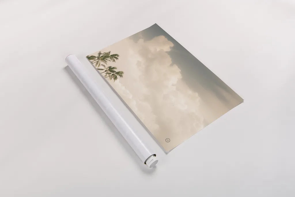 Lone Bird Ocean View by Nathan Larson. shown as a rolled paper print. Available as archival giclee rolled canvas, fine art paper, or poster print. SKU 71377i.