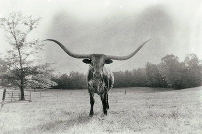 Longhorn Backlit Aged by Nathan Larson. SKU 91373i. Archival Giclee Fine art print for wall decor.