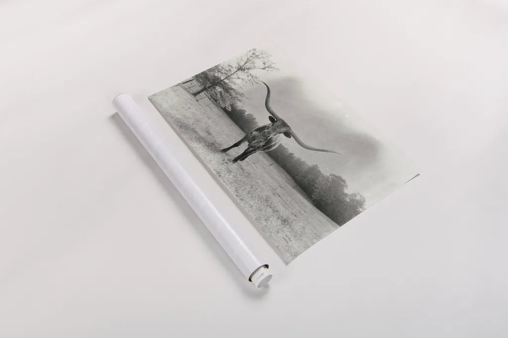 Longhorn Backlit Aged by Nathan Larson. shown as a rolled paper print. Available as archival giclee rolled canvas, fine art paper, or poster print. SKU 91373i.