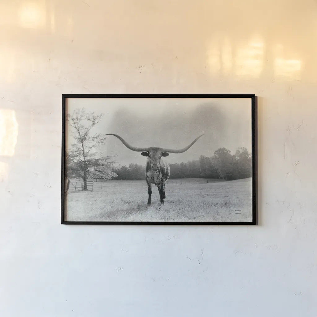 Longhorn Backlit Aged by Nathan Larson. shown as a paper print in a black flame. Available as a archival giclee rolled canvas, fine art paper, or poster print. SKU 91373i.