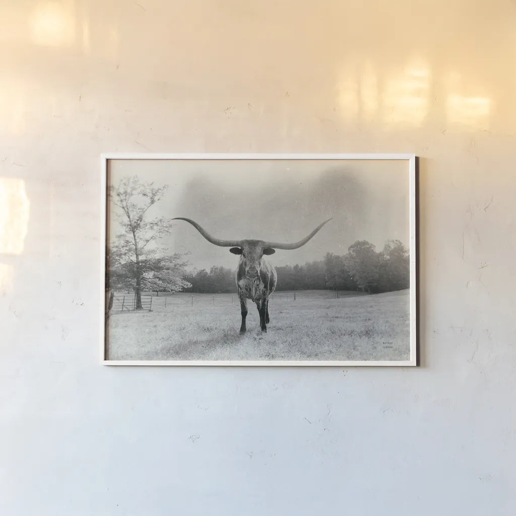 Longhorn Backlit Aged by Nathan Larson. shown as a paper print in a white frame. Available as a archival giclee rolled canvas, fine art paper, or poster print. SKU 91373i.