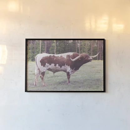 Longhorn Bull by Nathan Larson. shown as a paper print in a black flame. Available as a archival giclee rolled canvas, fine art paper, or poster print. SKU 93353i.