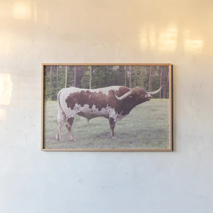 Longhorn Bull by Nathan Larson. shown as a paper print in a natural frame. Available as a archival giclee rolled canvas, fine art paper, or poster print. SKU 93353i.