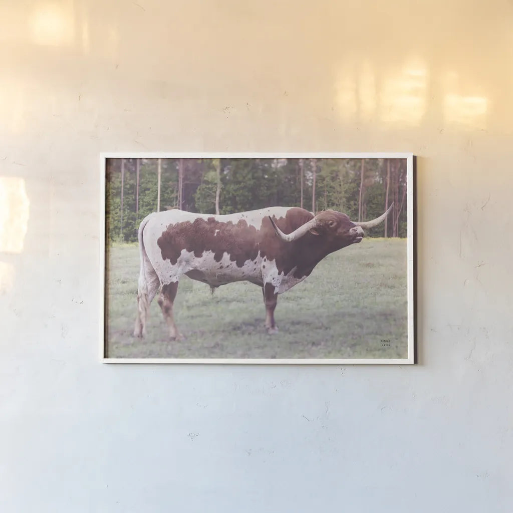 Longhorn Bull by Nathan Larson. shown as a paper print in a white frame. Available as a archival giclee rolled canvas, fine art paper, or poster print. SKU 93353i.