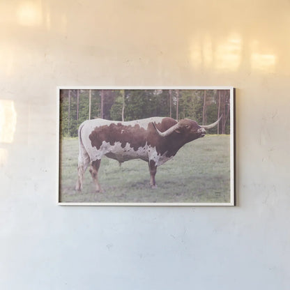 Longhorn Bull by Nathan Larson. shown as a paper print in a white frame. Available as a archival giclee rolled canvas, fine art paper, or poster print. SKU 93353i.