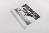 Longhorn Bull BW by Nathan Larson. shown as a rolled paper print. Available as archival giclee rolled canvas, fine art paper, or poster print. SKU 93354i.