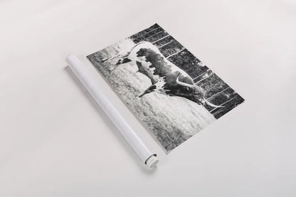 Longhorn Bull BW by Nathan Larson. shown as a rolled paper print. Available as archival giclee rolled canvas, fine art paper, or poster print. SKU 93354i.