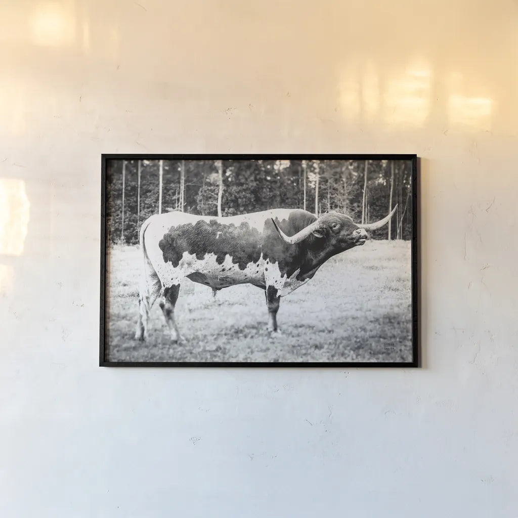 Longhorn Bull BW by Nathan Larson. shown as a paper print in a black flame. Available as a archival giclee rolled canvas, fine art paper, or poster print. SKU 93354i.