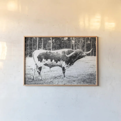 Longhorn Bull BW by Nathan Larson. shown as a paper print in a natural frame. Available as a archival giclee rolled canvas, fine art paper, or poster print. SKU 93354i.