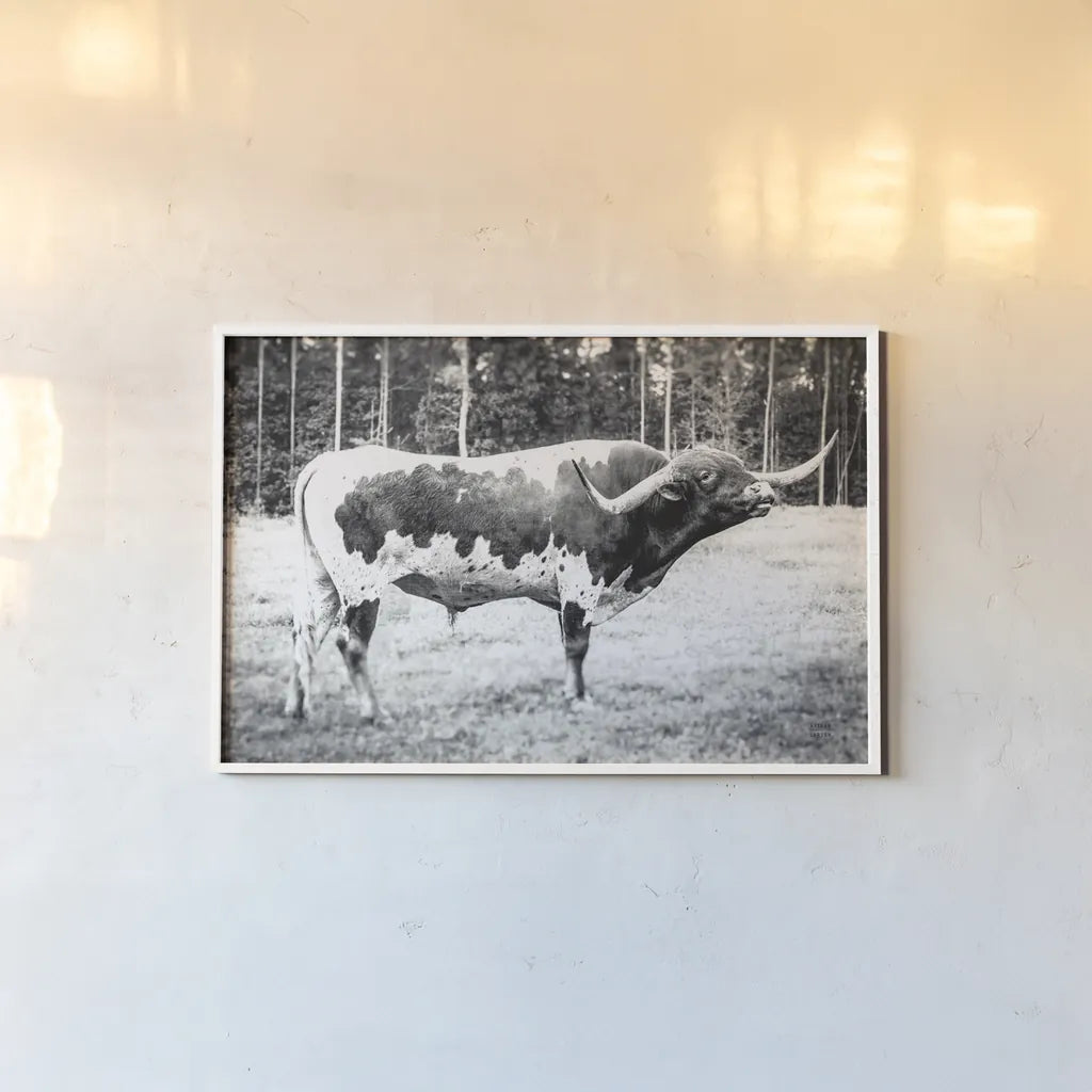 Longhorn Bull BW by Nathan Larson. shown as a paper print in a white frame. Available as a archival giclee rolled canvas, fine art paper, or poster print. SKU 93354i.