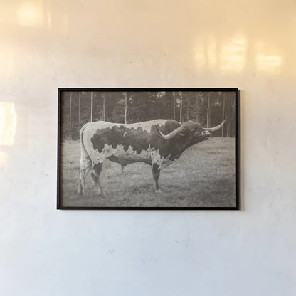 Longhorn Bull Sepia by Nathan Larson. shown as a paper print in a black flame. Available as a archival giclee rolled canvas, fine art paper, or poster print. SKU 93355i.