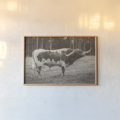 Longhorn Bull Sepia by Nathan Larson. shown as a paper print in a natural frame. Available as a archival giclee rolled canvas, fine art paper, or poster print. SKU 93355i.