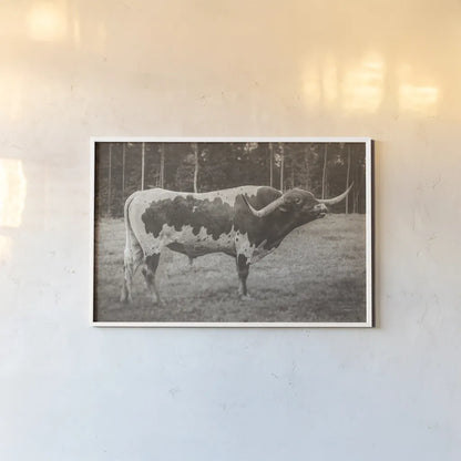 Longhorn Bull Sepia by Nathan Larson. shown as a paper print in a white frame. Available as a archival giclee rolled canvas, fine art paper, or poster print. SKU 93355i.