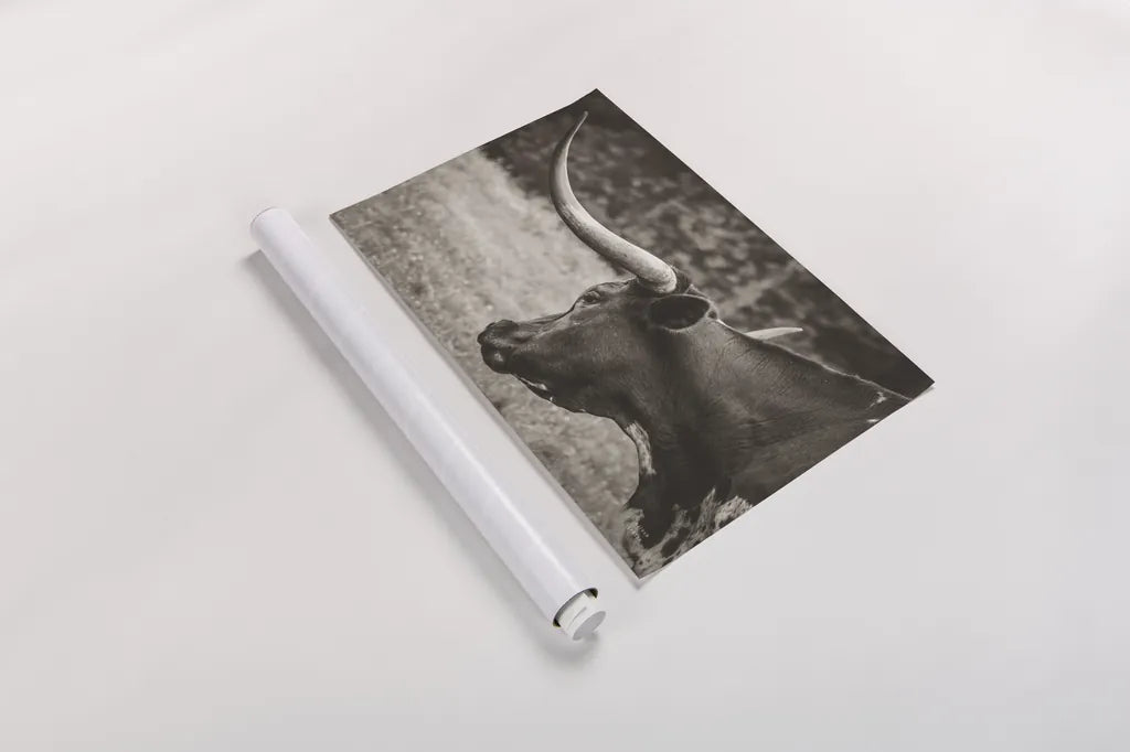 Longhorn Evening Sepia by Nathan Larson. shown as a rolled paper print. Available as archival giclee rolled canvas, fine art paper, or poster print. SKU 91379i.