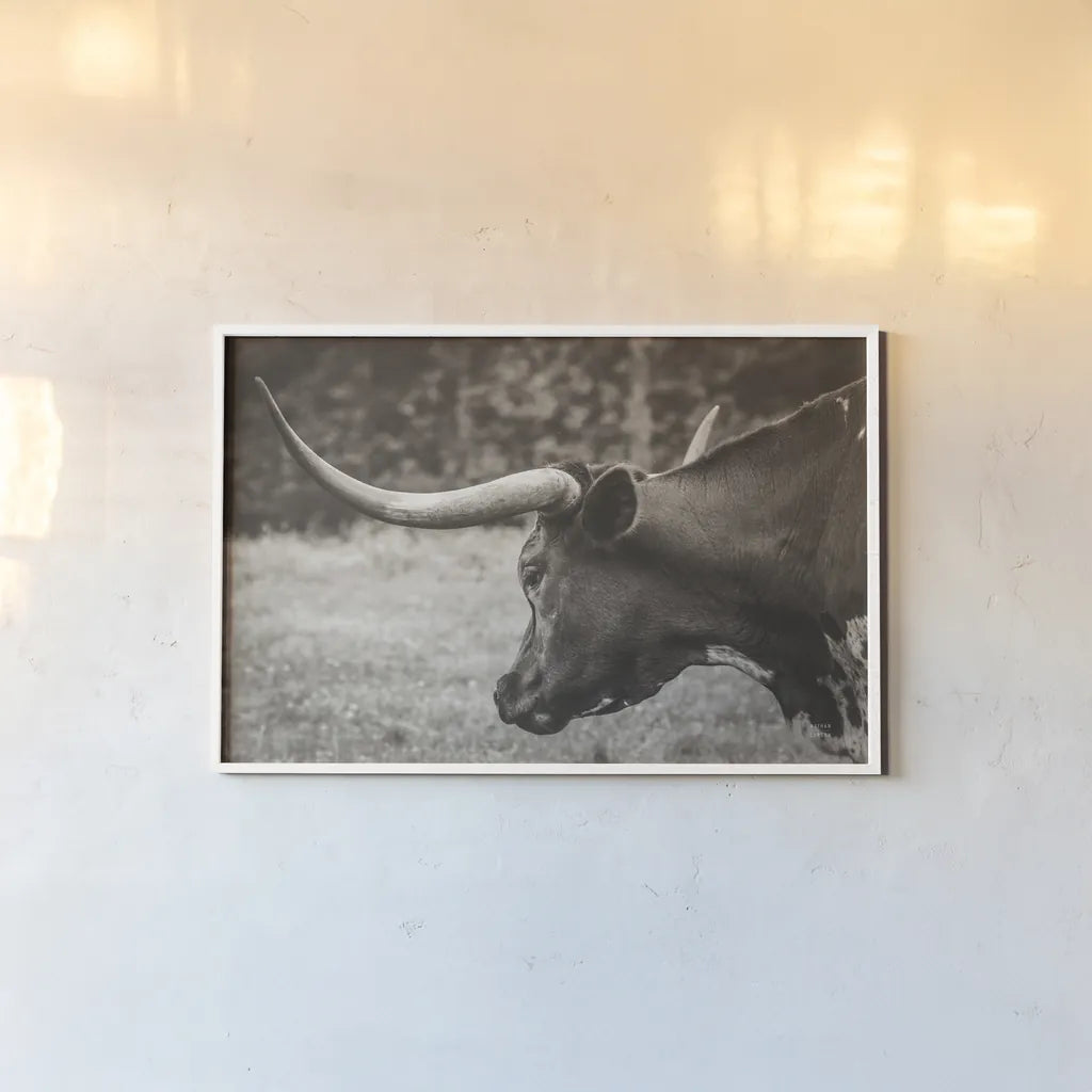 Longhorn Evening Sepia by Nathan Larson. shown as a paper print in a white frame. Available as a archival giclee rolled canvas, fine art paper, or poster print. SKU 91379i.