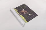 Longhorn Flowers by Nathan Larson. shown as a rolled paper print. Available as archival giclee rolled canvas, fine art paper, or poster print. SKU 91518i.