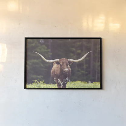 Longhorn Flowers by Nathan Larson. shown as a paper print in a black flame. Available as a archival giclee rolled canvas, fine art paper, or poster print. SKU 91518i.
