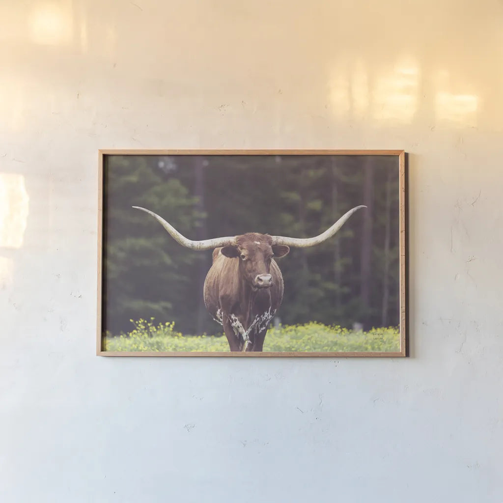 Longhorn Flowers by Nathan Larson. shown as a paper print in a natural frame. Available as a archival giclee rolled canvas, fine art paper, or poster print. SKU 91518i.