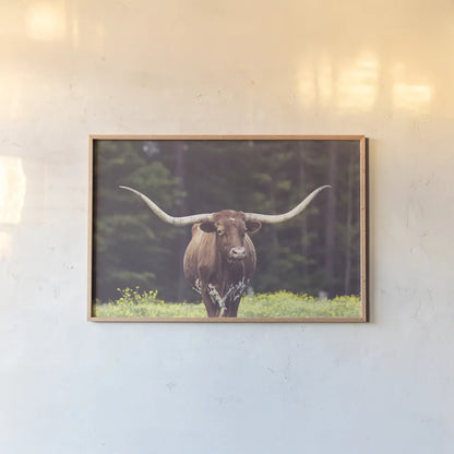 Longhorn Flowers by Nathan Larson. shown as a paper print in a natural frame. Available as a archival giclee rolled canvas, fine art paper, or poster print. SKU 91518i.