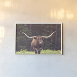 Longhorn Flowers by Nathan Larson. shown as a paper print in a white frame. Available as a archival giclee rolled canvas, fine art paper, or poster print. SKU 91518i.