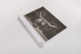 Longhorn Flowers Sepia by Nathan Larson. shown as a rolled paper print. Available as archival giclee rolled canvas, fine art paper, or poster print. SKU 91519i.
